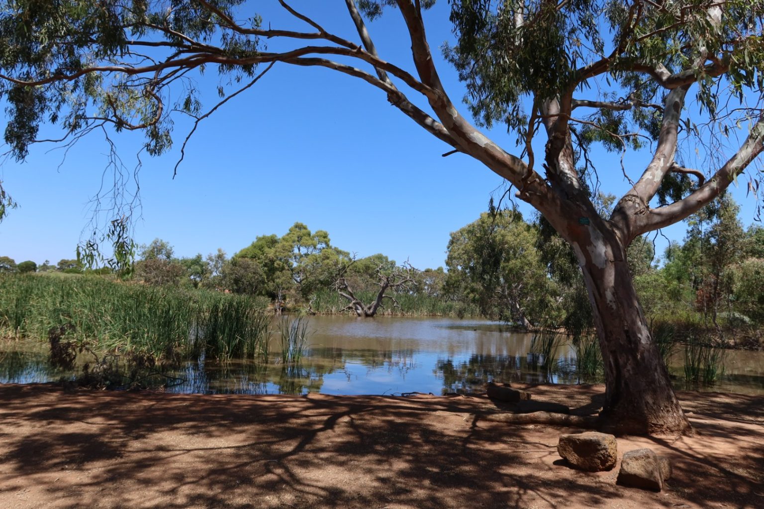 Australia Reads in the Melton Botanic Gardens Australia Reads